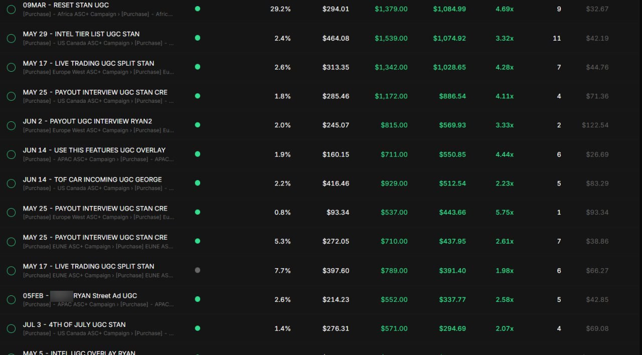 Client ad account continued, further rows of spend, revenue, profit and ROAS