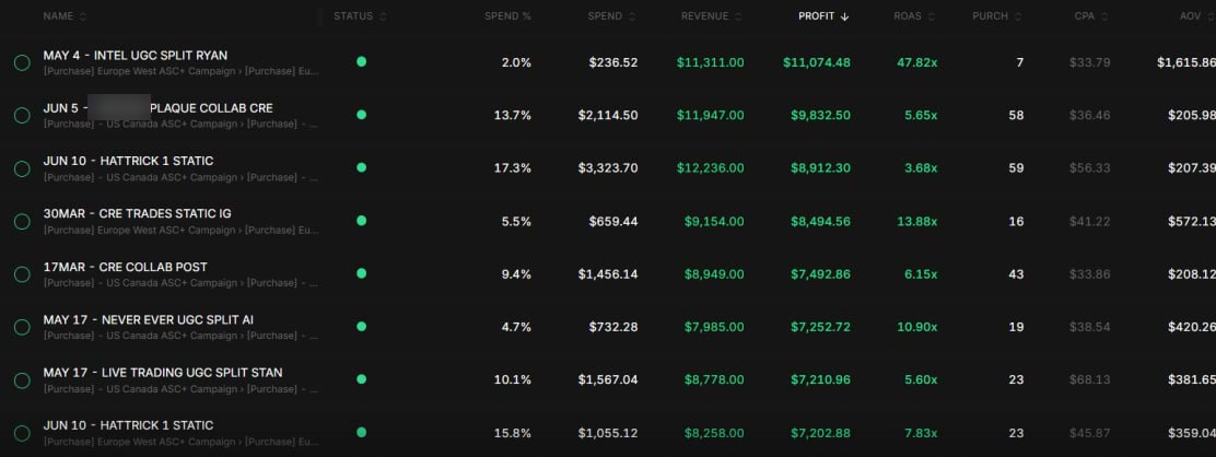 Screenshot of the client's ad account listing spend, revenue, profit and ROAS for eight ads
